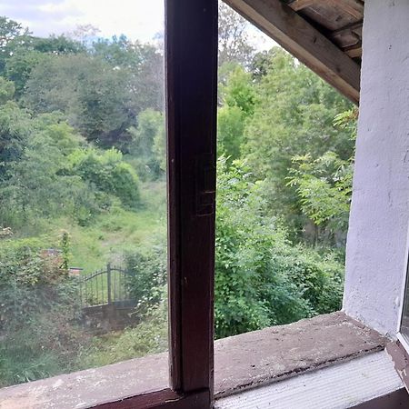 Le Petit Cele Studio Cosy En Bord De Riviere פיג'אק מראה חיצוני תמונה